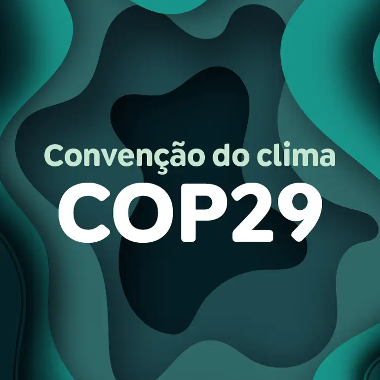 Jovens do Sul Global ganham voz ao terem delegação na COP 29